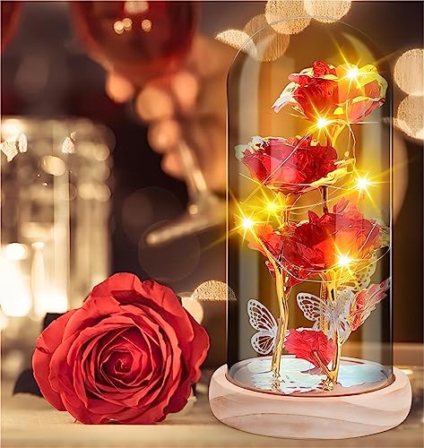 Ewige Rose im Glas - mit LED Licht und Holzsockel, Geschenke für Frauen, Geburtstagsgeschenk für Frauen, Ewige Rose Schmetterling für Freundin Frau Muttertag Weihnachten Valentinstag Jahrestag (Rot) von IVEOPPE