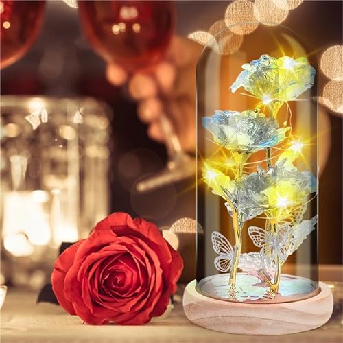 Ewige Rose im Glas - mit LED Licht und Holzsockel, Geschenke für Frauen, Geburtstagsgeschenk für Frauen, Ewige Rose Schmetterling für Freundin Frau Muttertag Weihnachten Valentinstag Jahrestag (Weiß) von IVEOPPE