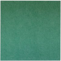Akustik-Wandpaneel aus PET-Filz - 100x100 cm - Grün - Grün von VIVOL