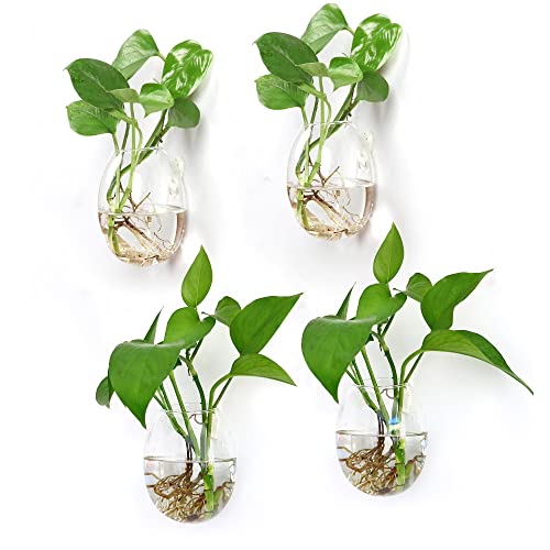 Ivolador Wandbehang Anzuchtglas Pflanze Terrarium Behälter Eiform Perfekt für die Vermehrung Hydrokultur Pflanzen Home Office Garten Dekor Hochzeit von IVOLADOR I