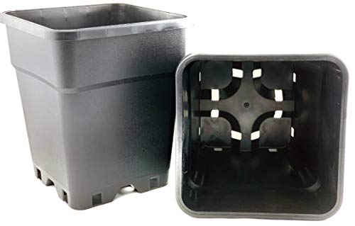 Bato 1-STK 25-L Profi Pflanztopf viereckig 33x33x33,5-cm PP Kunststoff Perfekt für Indoor & Outdoor Blumen-Topf Kübel Kasten Pflanz Vier-Kant für kleine Mittel & Große Pflanzen Gefäß 4-Kant von IVORYS-GARDEN