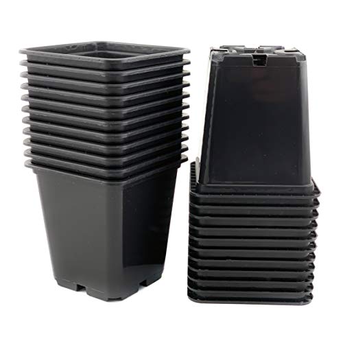 Bato 20 x Anzucht-Topf 0,5-L 9x9x10-cm zur Vor-Zucht geeignet Robuster Profi Anzucht Pflanztopf Blumentopf Vierkant Viereck-ig PP Kunstoff 4-Kant Pflanztopf für Stecklinge und Saemlinge von Sudsty