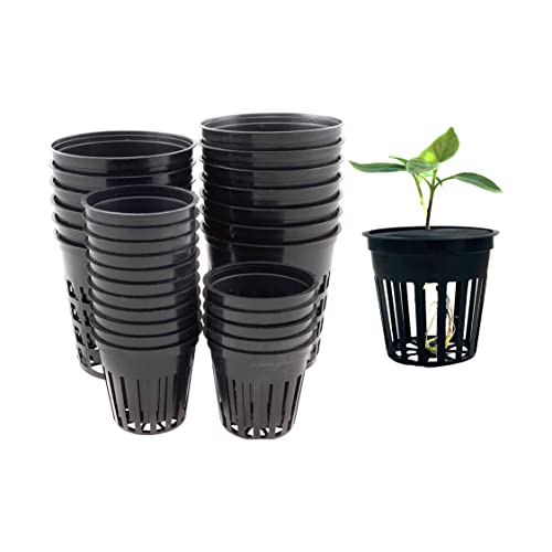 IVORYS-GARDEN 50 x Netztopf Ø 5,5 cm Grow-Tool Anzucht Toepfe Kunststoff + eine Pipette IVORYS-GARDEN 50 x Netztopf Ø 5,5 cm Grow-Tool Anzucht Toepfe Kunststoff + eine Pipette von IVORYS-GARDEN