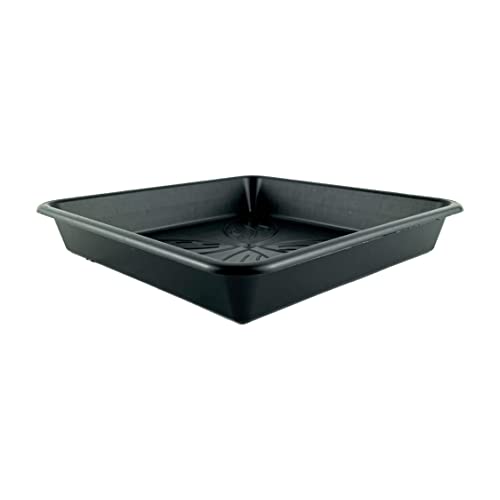 IVORYS-GARDEN 50 x Untersetzer 25,1 x 25,1 cm mit Blumenmuster Quadratisch Pflanzen Garten Muster IVORYS-GARDEN 50 x Untersetzer 25,1 x 25,1 cm mit Blumenmuster Quadratisch Pflanzen Garten Muster von IVORYS-GARDEN