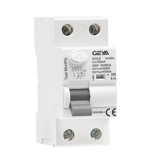 IWEBQSAP GYL9 A Typ RCD Fehlerstromschutzschalter AC ELCB 2 Pole 40A 63A 30mA 100mA 300mA RCD RCCB(100mA,2P 63A) von IWEBQSAP