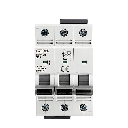 IWEBQSAP MCB 750 V DC MCB 80 A 100 A 125 A Mini-Leistungsschalter Gleichstrom for Solarsystem-Din-Schiene(80A) von IWEBQSAP