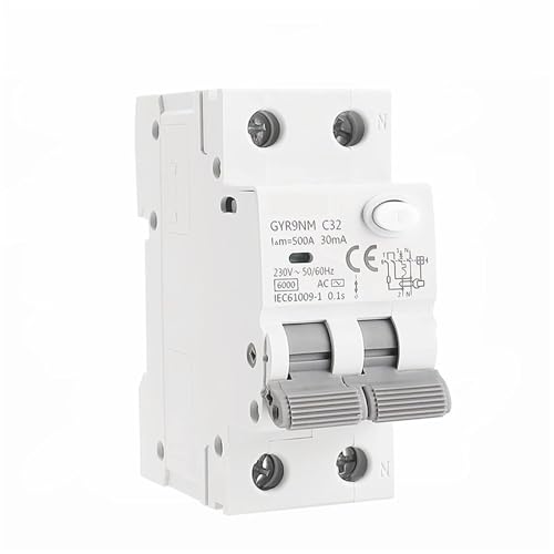 IWEBQSAP RCBO Magnetschutzschalter Typ CA GYR9NM mit Überstrom- und Leckschutz, DIN-Schiene, 10 A, 16 A, 25 A, 32 A, 40 A, 1 Stück (2P 10A, 100 mA) von IWEBQSAP