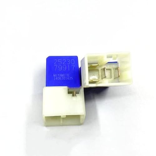 IWEBQSAP Relais 25230 79917 2523079917 12VDC DC12V 12V 4PIN Relais(5PCS) von IWEBQSAP