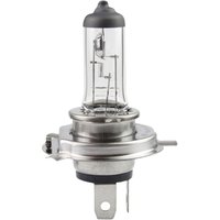 019354 Halogen Leuchtmittel H4 55/60 w 12 v - IWH von IWH