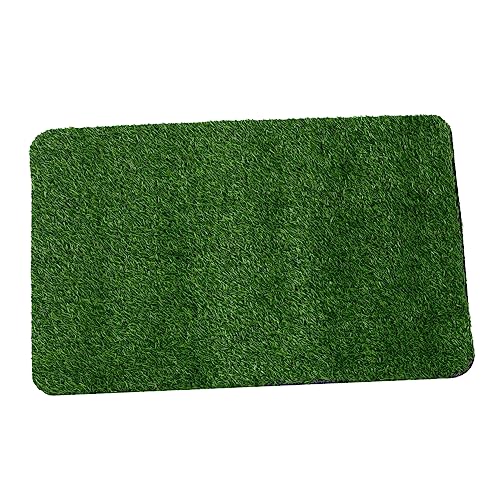 IWOWHERO 1 Stück Kunstrasen Fußmatte rutschfeste Eingangsmatte für Outdoor Indoor Schmutzfangmatte mit Skid Rückseite Vielseitig für Eingang Terrasse Badezimmer Zufällige Zufällige Farbe IWOWHERO 1 Stück Kunstrasen Fußmatte rutschfeste Eingangsmatte für Outdoor Indoor Schmutzfangmatte mit Skid Rückseite Vielseitig für Eingang Terrasse Badezimmer Zufällige Zufällige Farbe von IWOWHERO