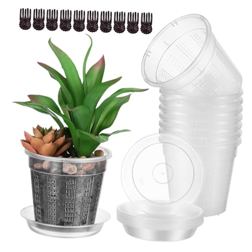 IWOWHERO Pflanztöpfe Für Die Anzucht Orchideen-pflanzgefäß Mit Schlitzen Kunststoff-blumentöpfe Mit Drainagelöchern Für Pflanzen IWOWHERO Pflanztöpfe Für Die Anzucht Orchideen-pflanzgefäß Mit Schlitzen Kunststoff-blumentöpfe Mit Drainagelöchern Für Pflanzen von IWOWHERO