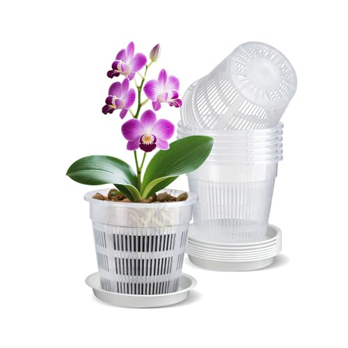IWTTWY 8 Stück Transparenter Orchideentopf, 11cm Kunststoff-Pflanztöpfe mit Ablaufloch und Tablett, Zimmerpflanzentöpfe für Orchideen-Umtopf-Set, Samen-Sämling-Töpfe für Wurzelwachstum IWTTWY 8 Stück Transparenter Orchideentopf, 11cm Kunststoff-Pflanztöpfe mit Ablaufloch und Tablett, Zimmerpflanzentöpfe für Orchideen-Umtopf-Set, Samen-Sämling-Töpfe für Wurzelwachstum von IWTTWY