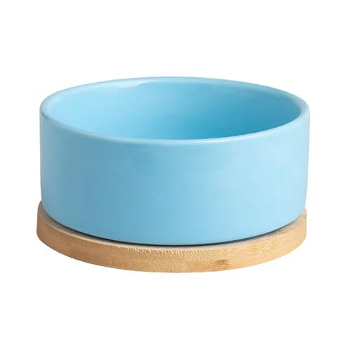 Futterspender für Haustiere, Keramiknapf for Haustiere – Beheizter Wassernapf, selbstwärmender USB-Napf | Große Basis mit automatischem Wärmesystem(Blue) von IXMLDAXD