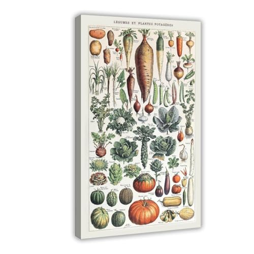 IYTAFGYT Leinwand-Poster, Motiv: Retro-Gemüse, wissenschaftliche Pflanzen, Wandkunstdruck, Bild, Gemälde, 30 x 45 cm IYTAFGYT Leinwand-Poster, Motiv: Retro-Gemüse, wissenschaftliche Pflanzen, Wandkunstdruck, Bild, Gemälde, 30 x 45 cm von IYTAFGYT