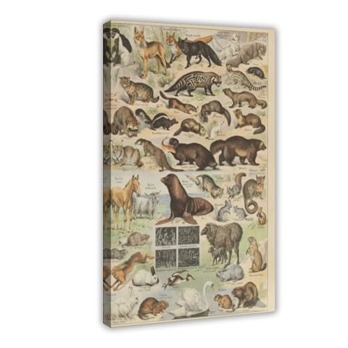 IYTAFGYT Leinwandposter im Retro-Stil, flauschige Tiere, Wandkunstdruck, Bild, Gemälde, 60 x 90 cm von IYTAFGYT