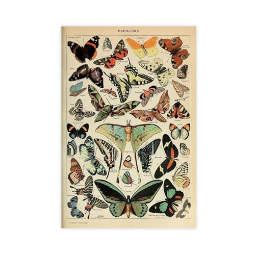 IYTAFGYT Papillons Leinwandposter, Vintage-Schmetterlinge, Schlafzimmer, Dekoration, Landschaftsdekoration, Geschenk, 30 x 45 cm von IYTAFGYT