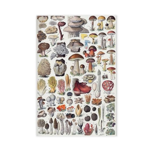 IYTAFGYT Pilz-Diagramm auf Leinwand, Poster, Schlafzimmer, Dekoration, Landschaftsdekoration, Geschenk, 60 x 90 cm von IYTAFGYT
