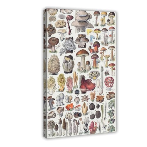 IYTAFGYT Pilz-Diagramm auf Leinwand, Poster, Wandkunstdruck, Bild, Gemälde, 20 x 30 cm IYTAFGYT Pilz-Diagramm auf Leinwand, Poster, Wandkunstdruck, Bild, Gemälde, 20 x 30 cm von IYTAFGYT