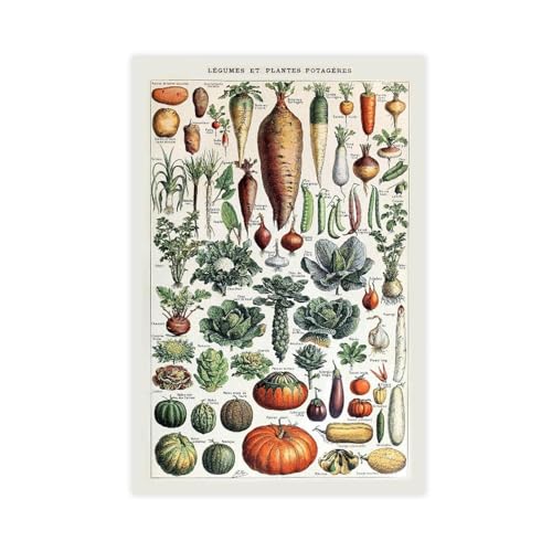 IYTAFGYT Retro-Gemüse, wissenschaftliche Pflanzen, Leinwand-Poster, Schlafzimmer, Dekoration, Landschaftsdekoration, Geschenk, 20 x 30 cm IYTAFGYT Retro-Gemüse, wissenschaftliche Pflanzen, Leinwand-Poster, Schlafzimmer, Dekoration, Landschaftsdekoration, Geschenk, 20 x 30 cm von IYTAFGYT