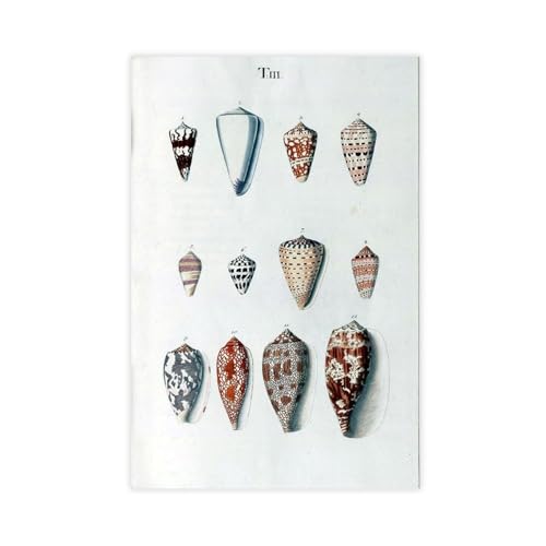 IYTAFGYT Retro-Muschelposter auf Leinwand, Schlafzimmer, Dekoration, Landschaftsdekoration, Geschenk, 40 x 60 cm von IYTAFGYT