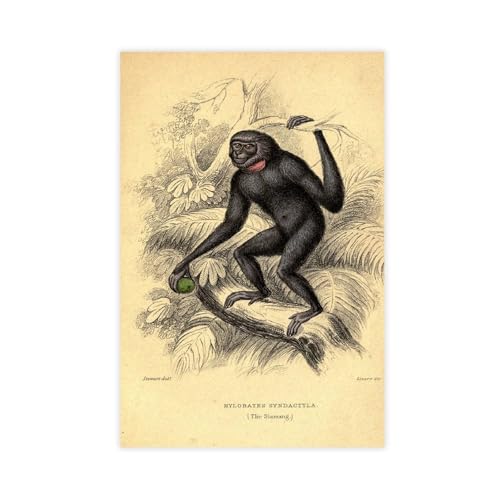 IYTAFGYT Siamang Gibbon Leinwand-Poster, Wandkunstdruck, Bild, Gemälde, 60 x 90 cm von IYTAFGYT