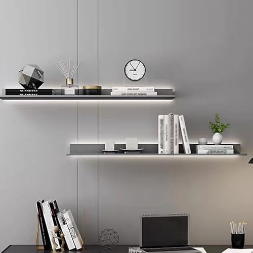 IYUESQ 1 Stück schwebende Regale für die Wanddekoration, Wandregale aus Metall mit LED-Leuchten, graues Wandregal zur Aufbewahrung von CDs und DVDs, zum Platzieren von Sammlungen, kleinen IYUESQ 1 Stück schwebende Regale für die Wanddekoration, Wandregale aus Metall mit LED-Leuchten, graues Wandregal zur Aufbewahrung von CDs und DVDs, zum Platzieren von Sammlungen, kleinen von IYUESQ