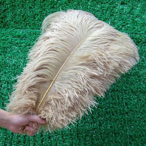 10 Stück/Lot weiße Straußenfedern für Hochzeit, Party, Dekoration, Bastelfedern, Tafelaufsatz, Zubehör, Bulk-Camel-30–35 cm 10 Stück/Lot weiße Straußenfedern für Hochzeit, Party, Dekoration, Bastelfedern, Tafelaufsatz, Zubehör, Bulk-Camel-30–35 cm von IYWTRT