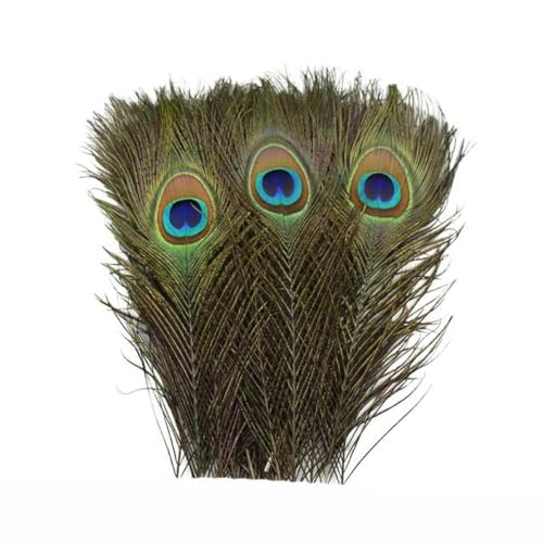 10 Teile/los Natürliche Echte Pfauenfedern für Dekoration Vasen Handwerk Lange Federn Schwertfedern Dekor Schmuck Kreation Zubehör-25-30 CM 10-12 Zoll 10 Teile/los Natürliche Echte Pfauenfedern für Dekoration Vasen Handwerk Lange Federn Schwertfedern Dekor Schmuck Kreation Zubehör-25-30 CM 10-12 Zoll von IYWTRT