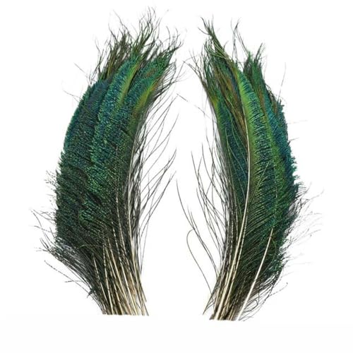 10 Teile/los Natürliche Echte Pfauenfedern für Dekoration Vasen Handwerk Lange Federn Schwertfedern Dekor Schmuck Kreation Zubehör-30-35 CM 12-14 Zoll 10 Teile/los Natürliche Echte Pfauenfedern für Dekoration Vasen Handwerk Lange Federn Schwertfedern Dekor Schmuck Kreation Zubehör-30-35 CM 12-14 Zoll von IYWTRT