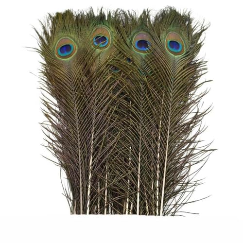 10 Teile/los Natürliche Echte Pfauenfedern für Dekoration Vasen Handwerk Lange Federn Schwertfedern Dekor Schmuck Kreation Zubehör-40-45 CM 16-18 Zoll 10 Teile/los Natürliche Echte Pfauenfedern für Dekoration Vasen Handwerk Lange Federn Schwertfedern Dekor Schmuck Kreation Zubehör-40-45 CM 16-18 Zoll von IYWTRT