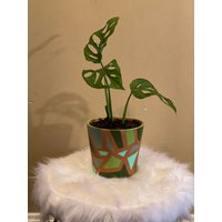 Personalisierter Bemalter Topf von IamgrowingByDevona
