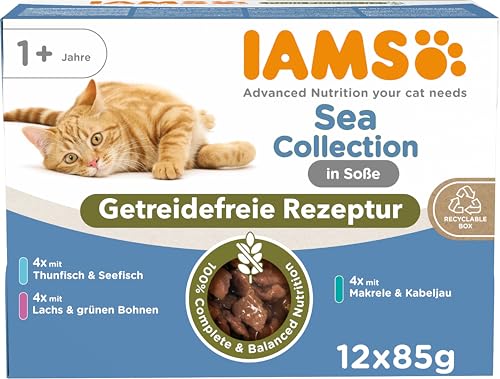 IAMS Delights Sea Collection Katzenfutter Nass Getreidefrei - Multipack mit Fisch Sorten in Sauce, getreidefreies Nassfutter für Katzen ab 1 Jahr, 12 x 85g IAMS Delights Sea Collection Katzenfutter Nass Getreidefrei - Multipack mit Fisch Sorten in Sauce, getreidefreies Nassfutter für Katzen ab 1 Jahr, 12 x 85g von IAMS