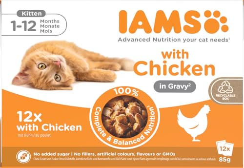 IAMS Delights Kitten Nassfutter - Multipack Katzenfutter mit Huhn in Sauce, hochwertiges Futter für Junior Kätzchen von 1-12 Monate, 12 x 85g IAMS Delights Kitten Nassfutter - Multipack Katzenfutter mit Huhn in Sauce, hochwertiges Futter für Junior Kätzchen von 1-12 Monate, 12 x 85g von IAMS