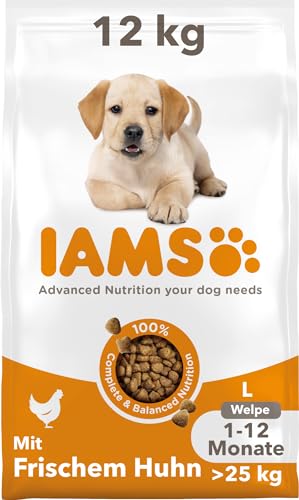 IAMS Junior Hundefutter trocken mit Huhn - Welpenfutter für Welpen im Alter von 1-12 Monaten, geeignet für große Rassen, 12 kg von IAMS