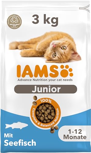 IAMS Junior Katzenfutter trocken mit Fisch - Trockenfutter für Kitten im Alter von 1-12 Monaten, 3 kg IAMS Junior Katzenfutter trocken mit Fisch - Trockenfutter für Kitten im Alter von 1-12 Monaten, 3 kg von IAMS
