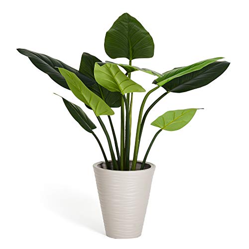 Ibbe Design 4Ever Green Künstliche Große Grüne Monstera Split Philo Pflanzen Splitphilo Kunstpflanze Kunstblume Kunstbaum Zimmerpflanze im Plastik Topf, 120 cm Hoch Ibbe Design 4Ever Green Künstliche Große Grüne Monstera Split Philo Pflanzen Splitphilo Kunstpflanze Kunstblume Kunstbaum Zimmerpflanze im Plastik Topf, 120 cm Hoch von Furnhouse