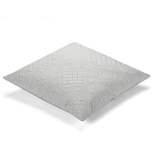 Ibena Nancy Kissenhülle 50x50 cm – Doppelpack Kissenbezüge hellgrau ohne Fülling, Zierkissen mit schönem Steppmuster, 2er Set mit verdeckten Reißverschlüssen Ibena Nancy Kissenhülle 50x50 cm – Doppelpack Kissenbezüge hellgrau ohne Fülling, Zierkissen mit schönem Steppmuster, 2er Set mit verdeckten Reißverschlüssen von Ibena