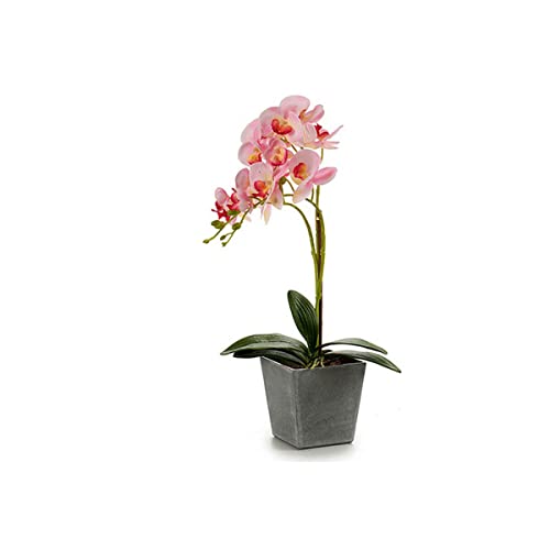 Ibergarden Dekorative Blumen Orchidee Kunststoff Blumentopf Grau (18 x 53 x 28 cm) von Ibergarden