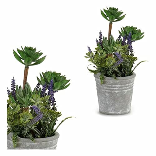 Ibergarden Dekorative Pflanze, Zement, 15,2 x 23 x 15,2 cm, 15.2 x 23 x 15.2 cm von Ibergarden