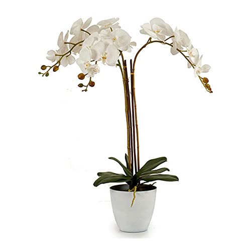 Ibergarden Dekorative Pflanze Orchidee, Kunststoff, weiß, 44 x 88 x 60 cm von Ibergarden