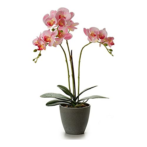 Ibergarden S3602932 Blumentopf, grau, 17 x 48 x 34 cm von Ibergarden