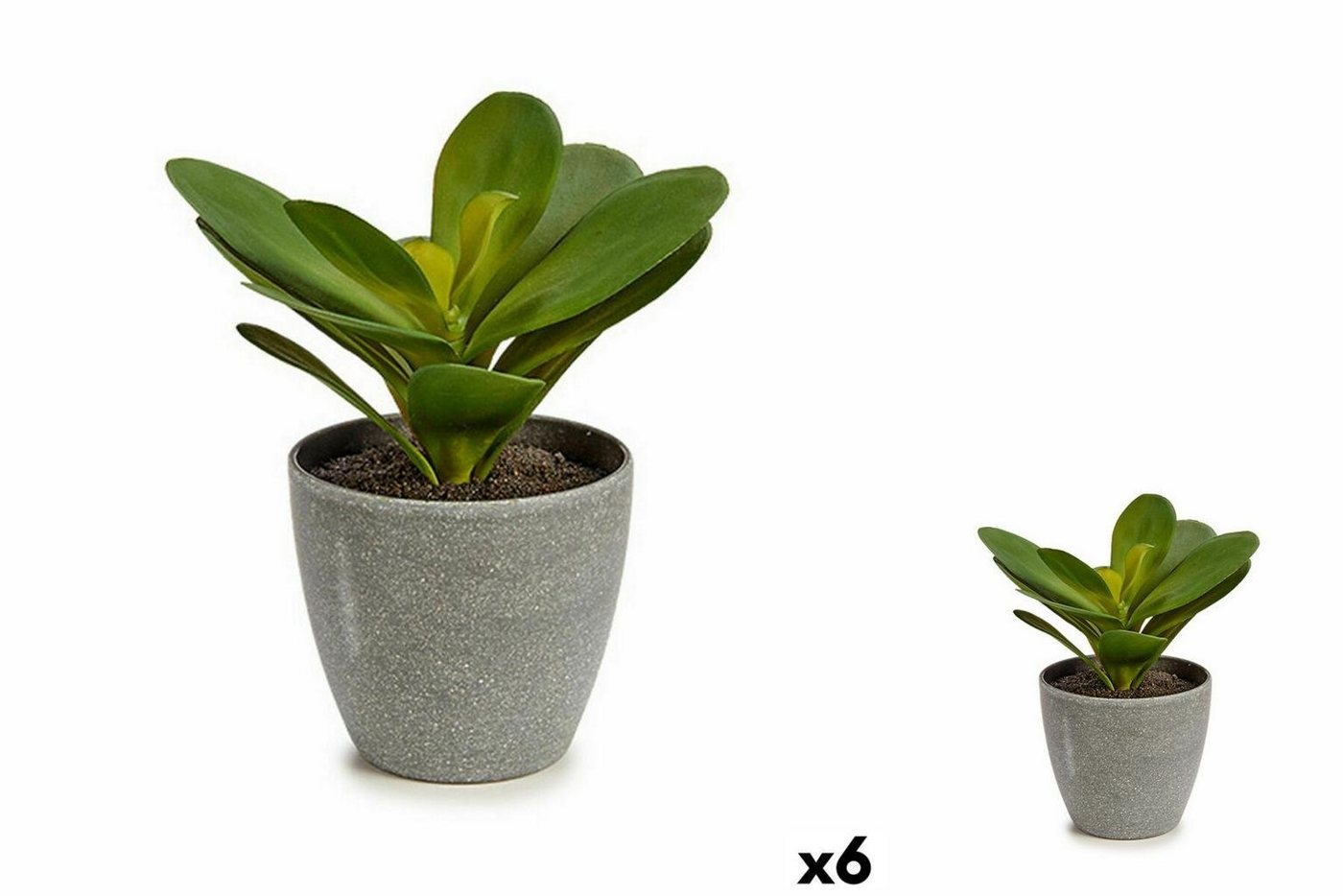 Künstliche Zimmerpflanze Dekorationspflanze Bettlaken kreisförmig Kunststoff 11 x 15 x 11 cm 6, Ibergarden, Höhe 18 cm von Ibergarden