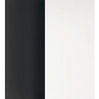 Icone Vera 66 LED Wand- / Deckenleuchte schwarz / weiß von Icone