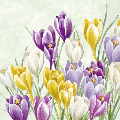 IHR Ideal Home Range - Papierservietten Blooming Crocus light green - Krokusse 20 St. Lunch-Servietten 33 cm x 33 cm von Ideal Home Range