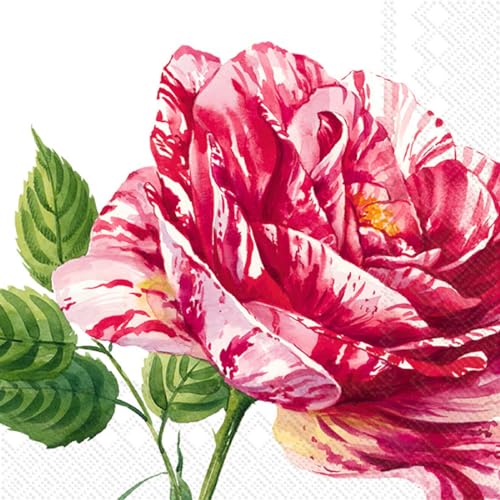 Party-Servietten, Motiv: rosa Rose, 40 Stück, 2 Packungen mit je 20 Stück, 3-lagige Lunch-Servietten | Charlotte Design von Ideal Home Range