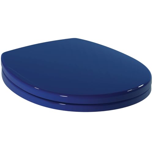 Ideal Standard S406536 Original Contour 21+ WC Sitz in Sandwich Design, Klodeckel Toilettendeckel Toilettensitz, Blau von Ideal Standard