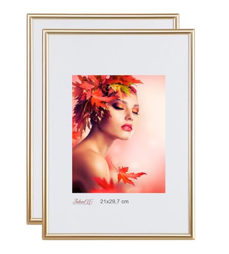 IDEAL TREND 2er 3er 5er Pack Bilderrahmen Kunststoff Lifestyle Foto Rahmen Collage Kyoto: Farbe: 2er Pack Gold | Format: 40x50 von IDEAL TREND