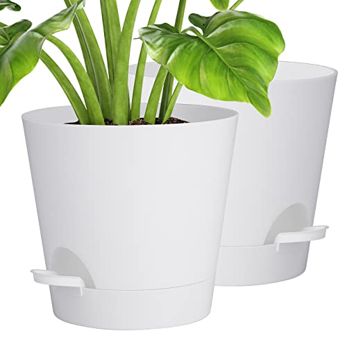 20.3 cm Blumentopf,Kunststoff Blumentopf mit Bewässerungssystem, Pflanzentopf 2er-Pack,Moderne für Innen und Balkon Garten Pflanzen Sukkulenten Kaktus(Weiß) von Idealife