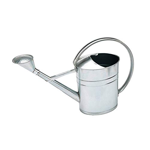 Idealspaten WEG90106 Gießkanne mit Brause feuerverzinkt 12l, 5 L, Silber, 40 x 25 x 15 cm von Idealspaten