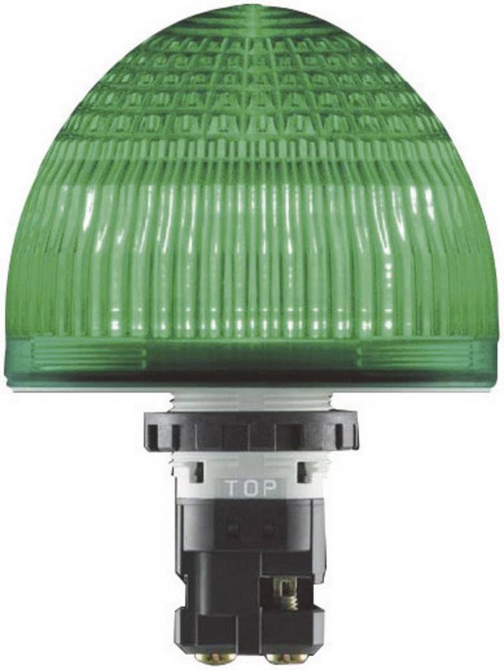 Idec Druckluftgeräte-Set Idec Signalleuchte LED HW1P-5Q4R HW1P-5Q4R Rot Dauerlicht 24 V/DC, 24, HW1P-5Q4R Idec Druckluftgeräte-Set Idec Signalleuchte LED HW1P-5Q4R HW1P-5Q4R Rot Dauerlicht 24 V/DC, 24, HW1P-5Q4R von Idec